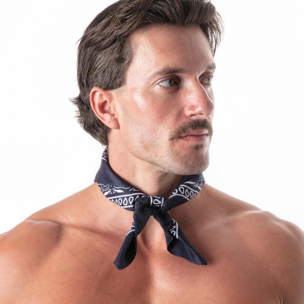 Hanky Navy