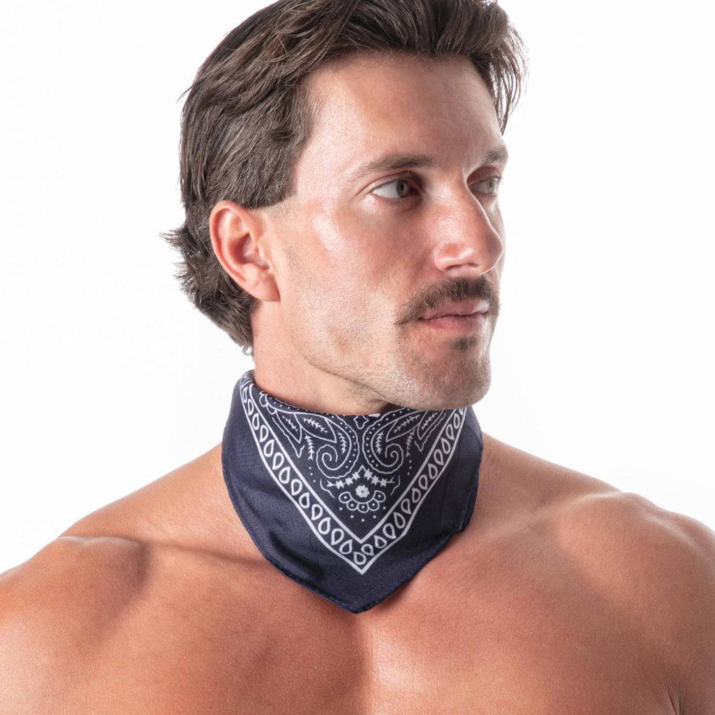 Hanky Navy
