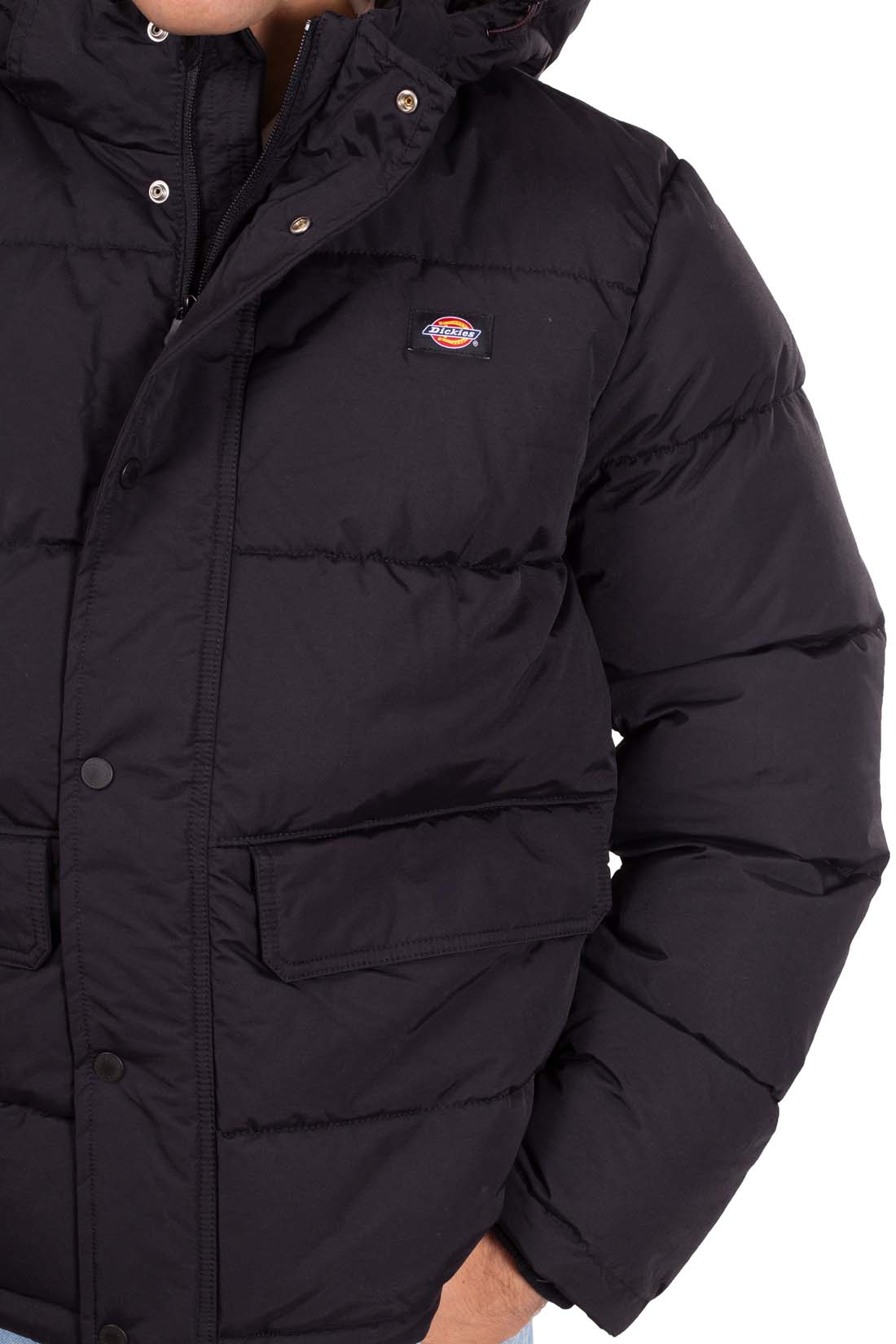 DICKIES - Men's padded jacket with hood and logo