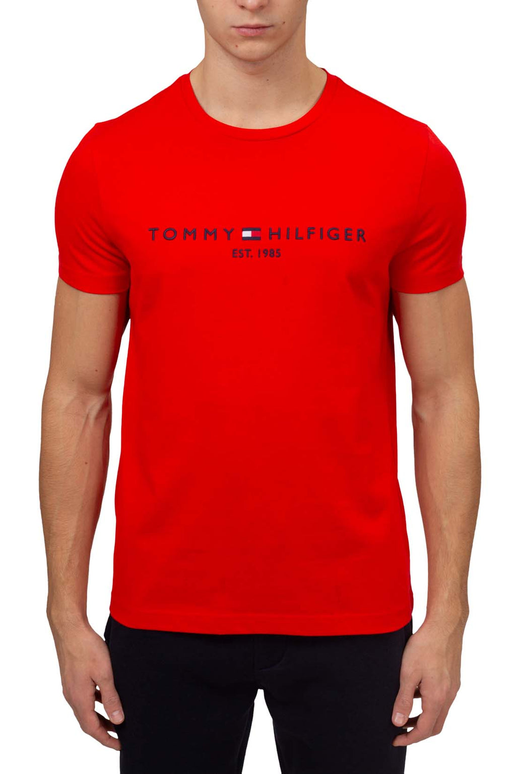 TOMMY HILFIGER - Men's regular T-shirt with embroidered logo - Size XL