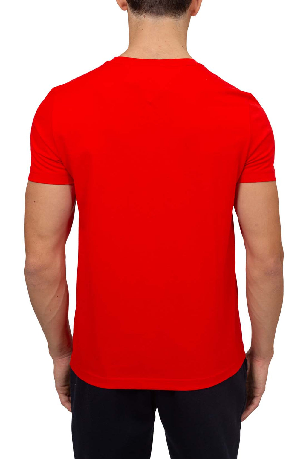 TOMMY HILFIGER - Men's regular T-shirt with embroidered logo - Size XL