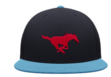 Tampa Mustangs Pony Hat