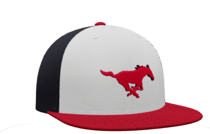 Tampa Mustangs Pony Hat