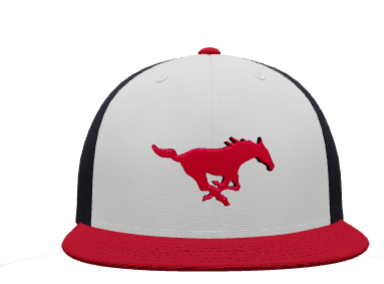Tampa Mustangs Pony Hat