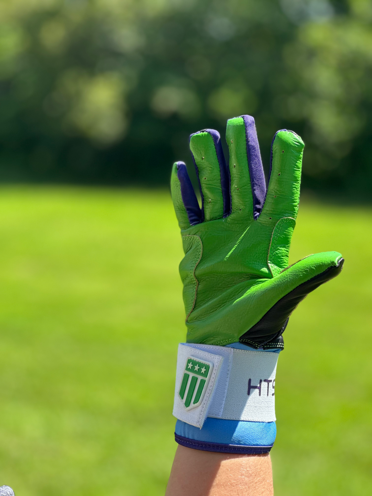 Tampa Bay City Long Cuff Black with Neon Green Palm