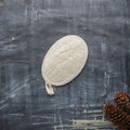 Loofah Shower Pad