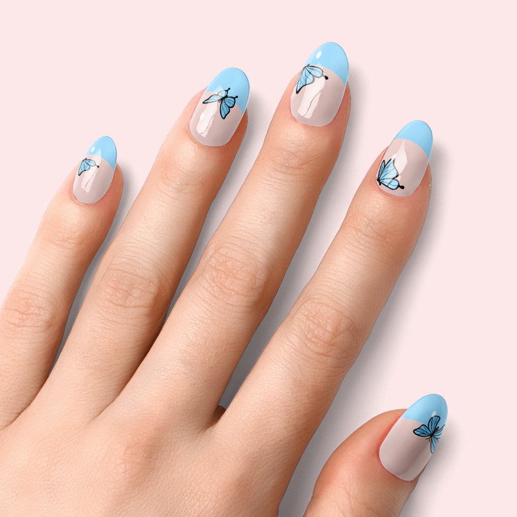 Papillon Blue