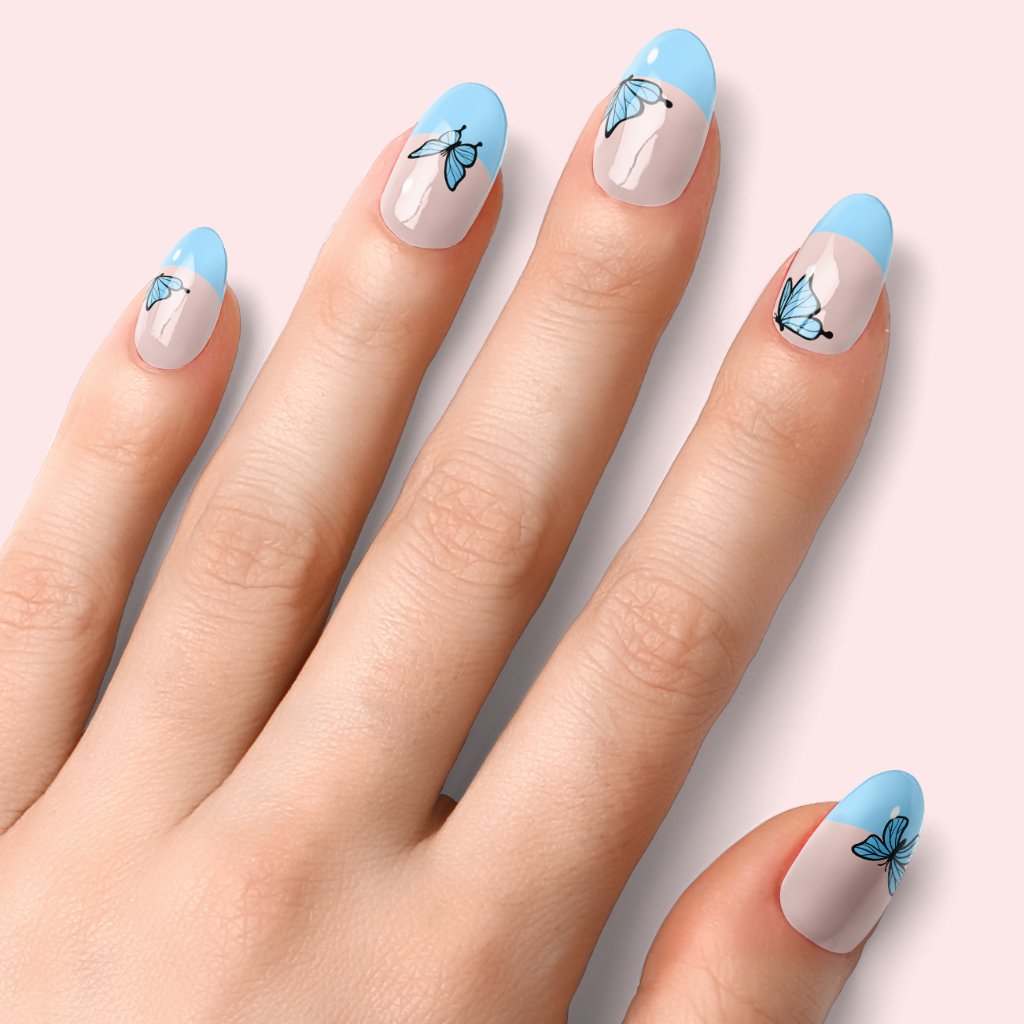 Papillon Blue